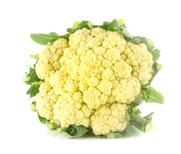 Fresh cauliflower on white — Stock Photo, Image