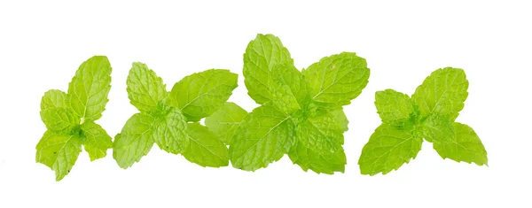 Heap of fresh kitchen mint leaves — Stock Photo, Image