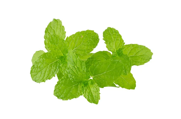 Heap of fresh kitchen mint leaves — Stock Photo, Image