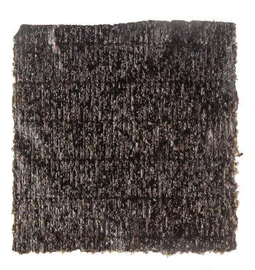 Levha yosun beyaz arka plan üzerinde