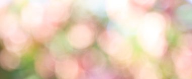 Soyut doğa bokeh arkaplanı