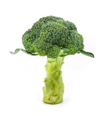 Brokoli beyaz arka plan üzerinde durmak