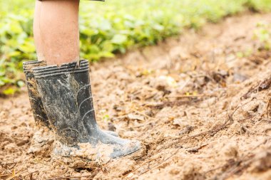 Asya adam waers kirli Ayakkabı