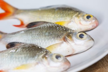 Çanak üzerinde çiğ balık