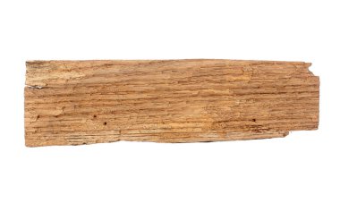 Soyut doğa yeşil arkaplan