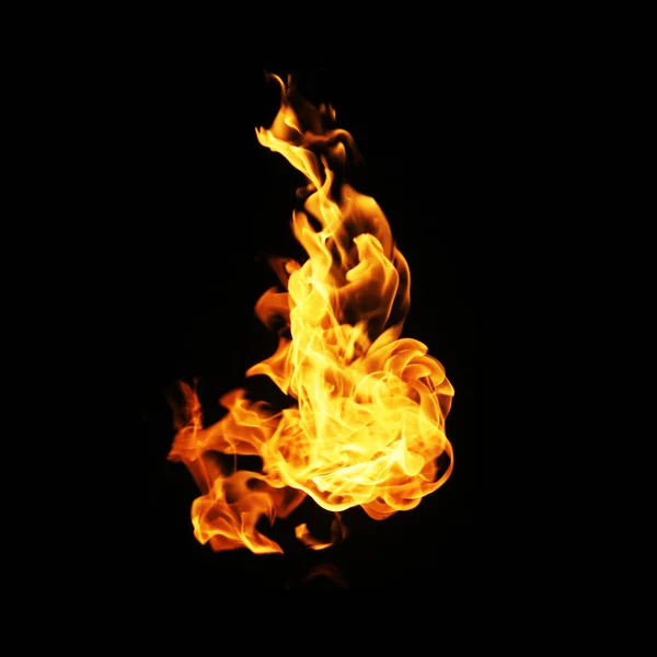 Fire Flames Collection Isolated Black Background — Stock Photo, Image