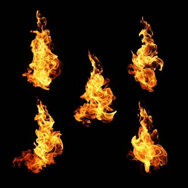 Vuurvlammen Collectie Geïsoleerd Zwarte Achtergrond — Stockfoto
