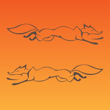 Fox eğri çizgiler oturum