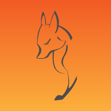 Fox eğri çizgiler oturum