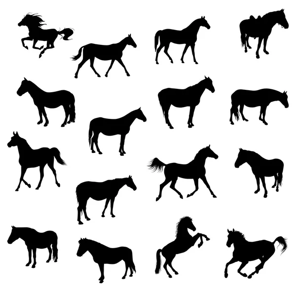 Caballos — Vector de stock