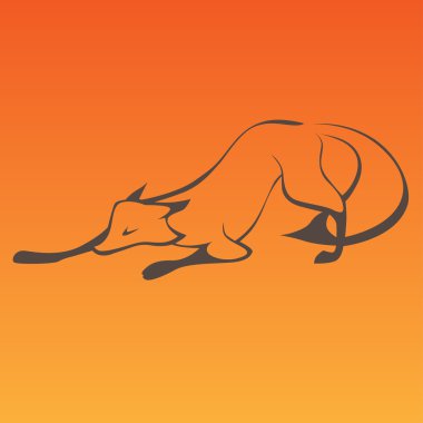 Fox eğri çizgiler oturum