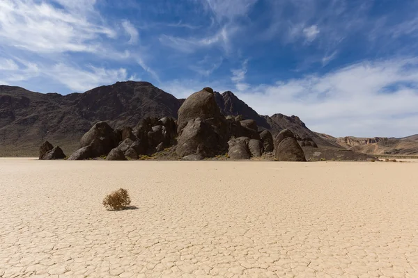 Tumbleweed sur le fond sec du lac avec de la boue fissurée — Photo