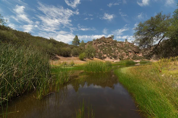 Bear Gulch Lake, pinakels Nationaal Park, Californië — Stockfoto