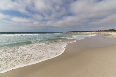 Sandy Asilomar Beach, Pacific Grove, Kaliforniya