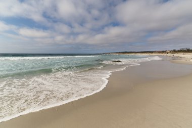 Sandy Asilomar Beach, Pacific Grove, California clipart