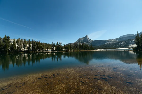 Montaña y pinos reflejándose en el lago alpino — Foto de Stock