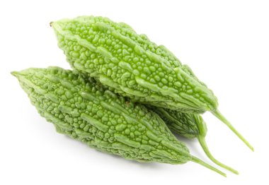 taze acı kabak izole