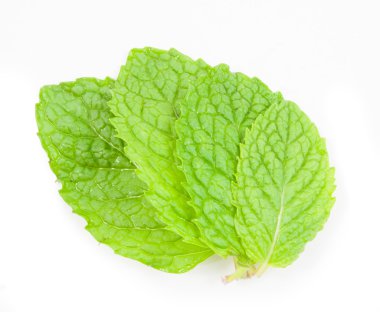 İzole edilmiş taze nane yaprakları