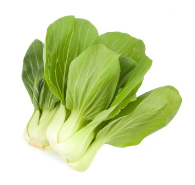 Bebek Pak Choy beyaz