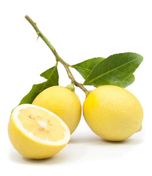 Два стиглих лимона впритул — стокове фото