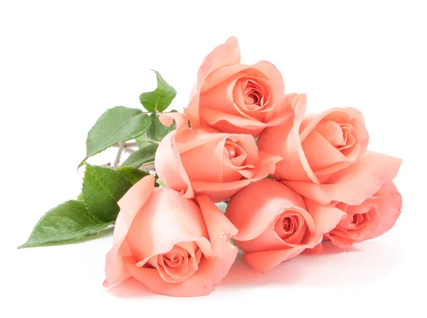 Pink roses bouquet — Stock Photo, Image