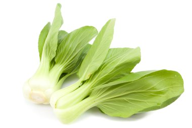 Bebek Pak Choy beyaz