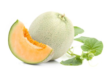 Orange cantaloupe melon  and leaves clipart