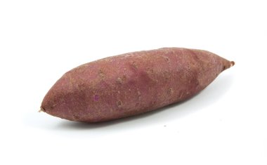 Beyaz arka plan üzerinde izole tapyoka bitkiler manyok portre