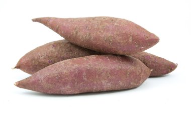 Beyaz arka plan üzerinde izole tapyoka bitkiler manyok portre