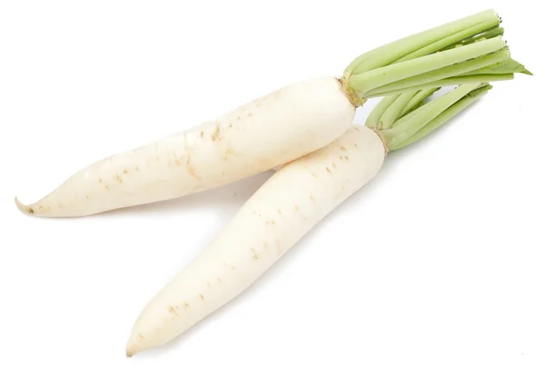 Daikon Radieschen isoliert — Stockfoto