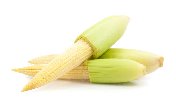 Bébi kukorica elszigetelt — Stock Fotó
