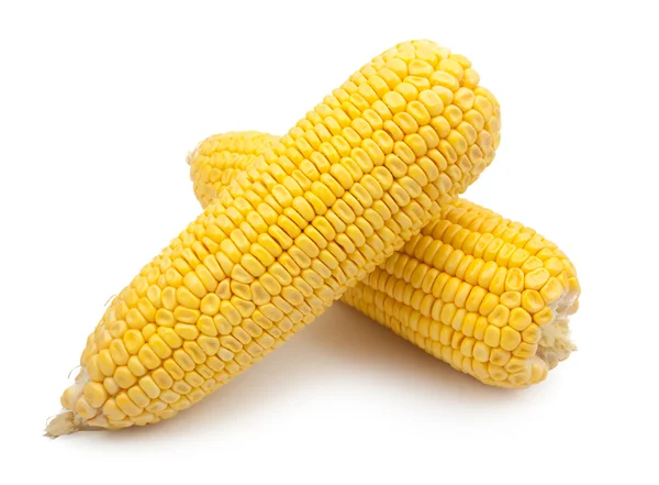 A kukorica elszigetelt — Stock Fotó