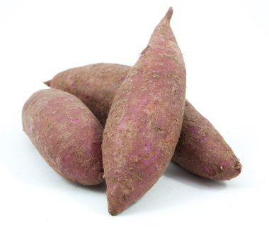 Beyaz arka plan üzerinde izole tapyoka bitkiler manyok portre