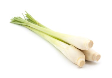 beyaz üzerine Limon otu