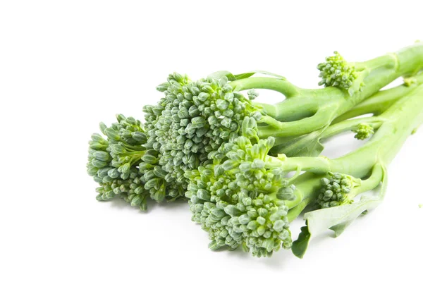 Bimi baby broccoli geïsoleerd — Stockfoto