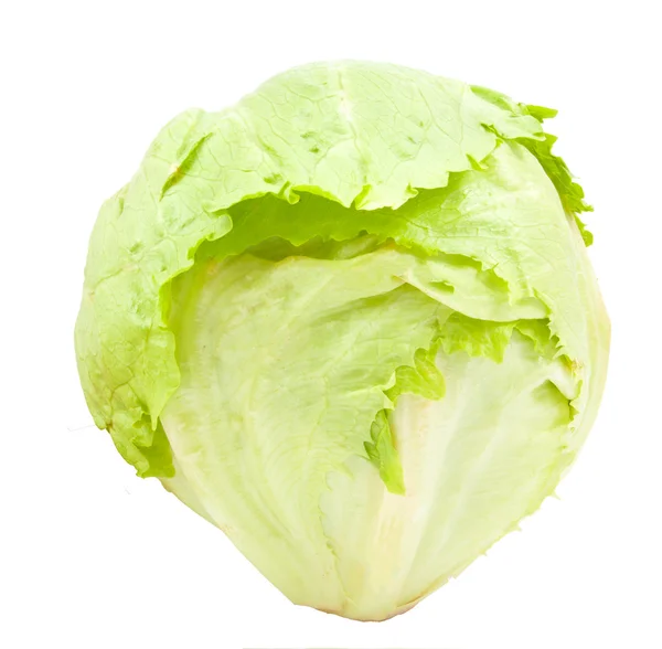 Zelený ledový salát — Stock fotografie