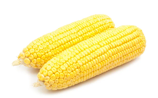 Corn and  canned corn isolated — Stock Photo, Image