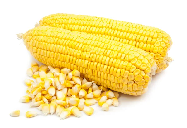 Kukorica és elszigetelt konzerv kukorica — Stock Fotó