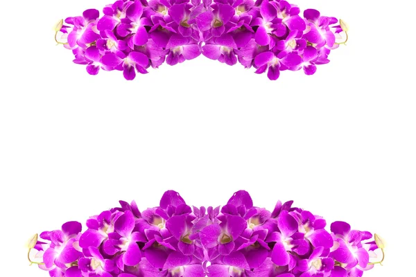 Hermoso racimo de flores de orquídea púrpura aislado en blanco backgr —  Fotos de Stock