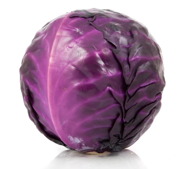 Red cabbage isolated — Stock Photo, Image