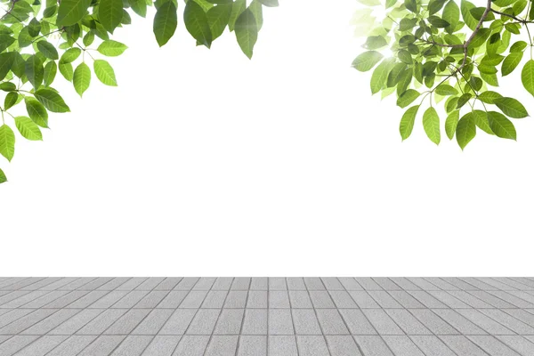 Wiosną świeżych zielonych liści z betono — Zdjęcie stockowe