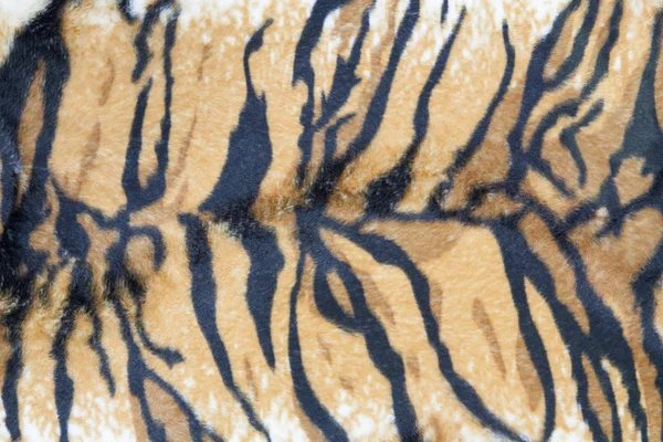 Textura da pele de tigre — Fotografia de Stock