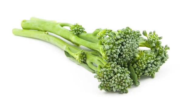 Bimi baby broccoli geïsoleerd — Stockfoto