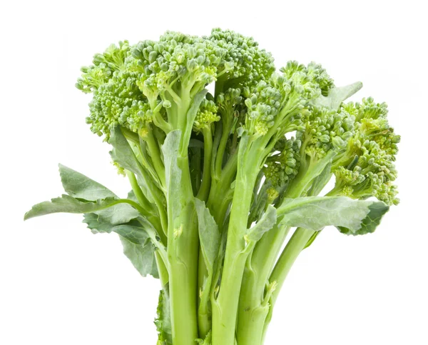 Broccolini baby broccoli isolati — Foto Stock