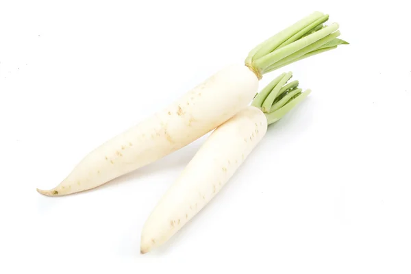 Rábanos daikon aislados — Foto de Stock