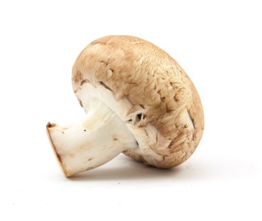 izole taze petrol kahverengi sürüm 