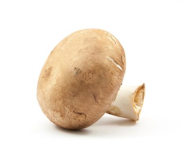 izole taze petrol kahverengi sürüm 