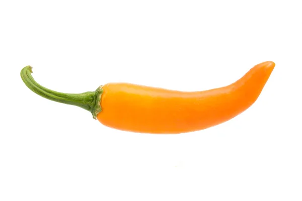 Ají picante naranja aislado sobre un fondo blanco — Foto de Stock