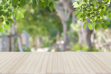 Taze bahar yeşil mavi bokeh ve güneş ışığı ve ağaç yaprakları 