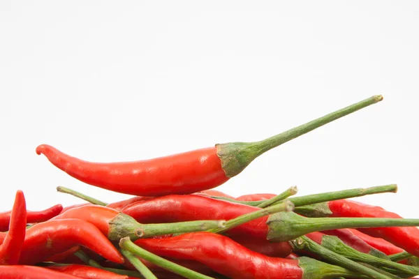 Red chili pepper isolated — Stock Photo, Image